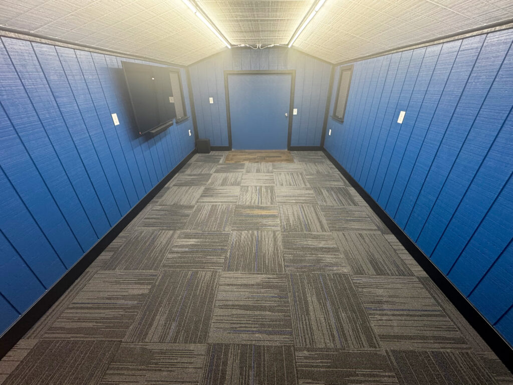 Carpet in a blue room.
